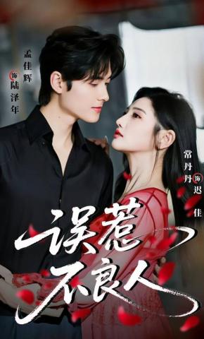 短剧《误惹不良人》海报