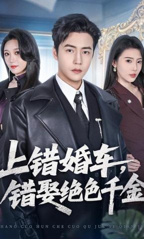 短剧《上错婚车，错娶绝色千金》海报