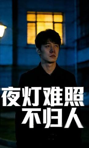 短剧《夜灯难照不归人》海报