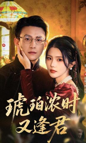 短剧《琥珀浓时又逢君》海报