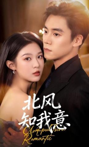 短剧《北风知我意》海报