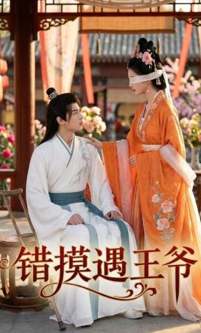 短剧《错摸遇王爷》海报