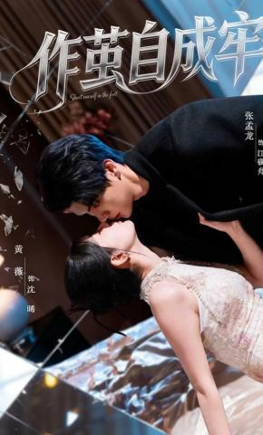 短剧《作茧自成牢》海报