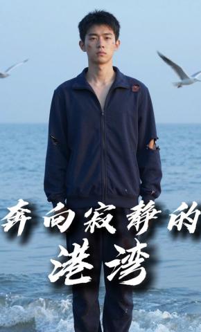 短剧《奔向寂静的港湾》海报