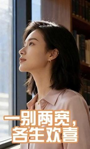 短剧《一别两宽，各生欢喜》海报