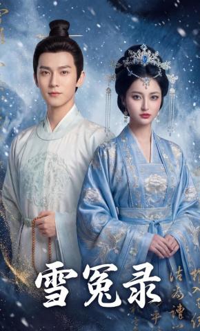 短剧《雪冤录》海报