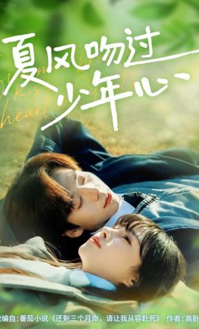 短剧《夏风吻过少年心》海报