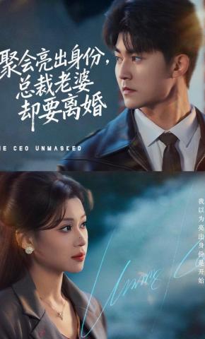 短剧《聚会亮出身份，总裁老婆却要离婚》海报