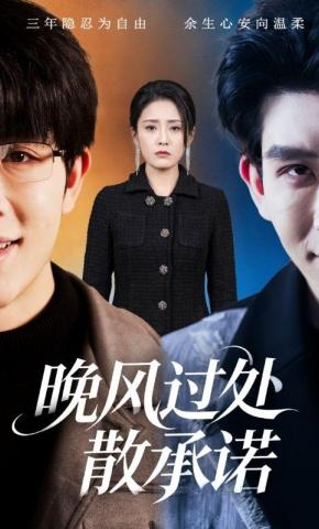 短剧《晚风过处散承诺》海报