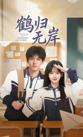 短剧《鹤归无岸》海报