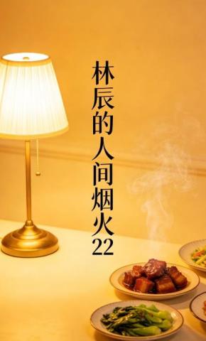 短剧《林辰的人间烟火22》海报