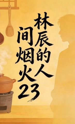 短剧《林辰的人间烟火23》海报