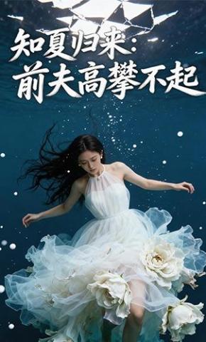 短剧《知夏归来：前夫高攀不起》海报