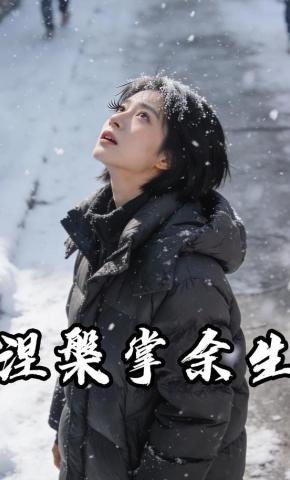 短剧《涅槃掌余生》海报