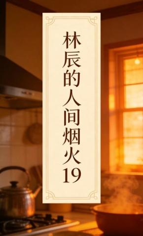 短剧《林辰的人间烟火19》海报