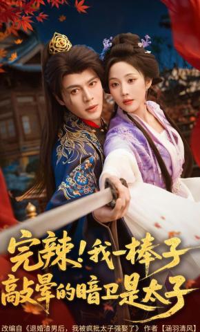 短剧《完辣！我一棒子敲晕的暗卫是太子》海报