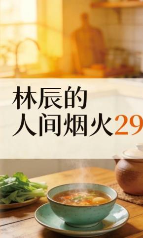 短剧《林辰的人间烟火29》海报