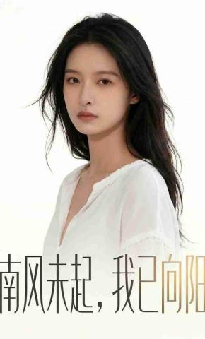 短剧《南风未起，我已向阳》海报