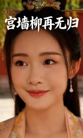 短剧《宫墙柳再无归》海报