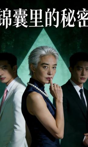 短剧《锦囊里的秘密》海报