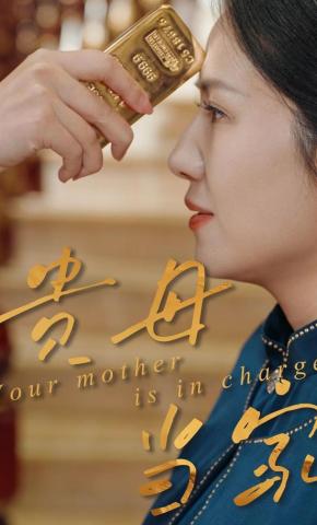 短剧《贵母当家》海报