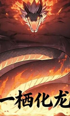 短剧《一栖化龙》海报