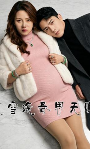 短剧《风雪逢春思无眠》海报