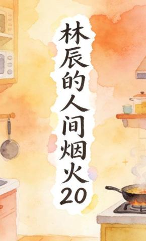 短剧《林辰的人间烟火20》海报