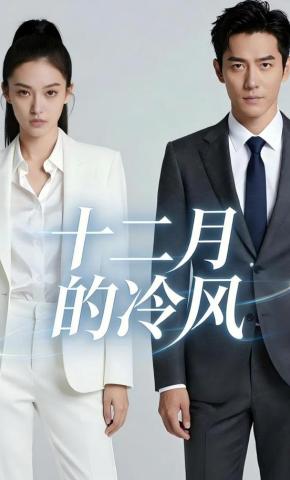 短剧《十二月的冷风》海报