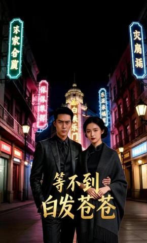 短剧《等不到白发苍苍》海报