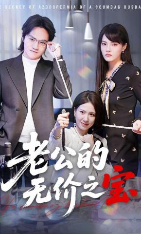 短剧《老公的无价之宝》海报