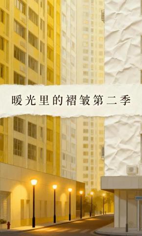 短剧《暖光里的褶皱第二季》海报