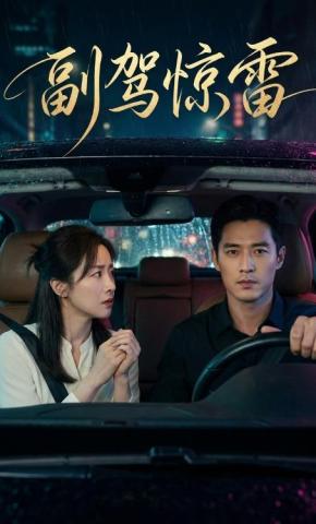 短剧《副驾惊雷》海报
