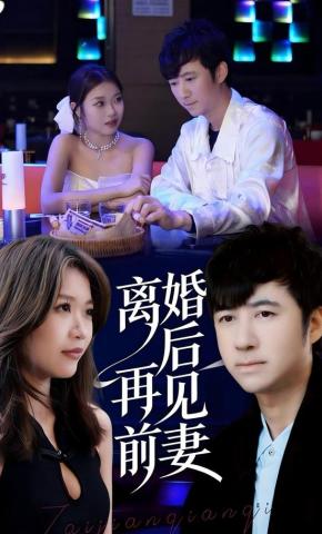 短剧《离婚后再见前妻》海报