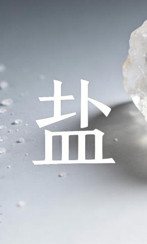 短剧《盐》海报