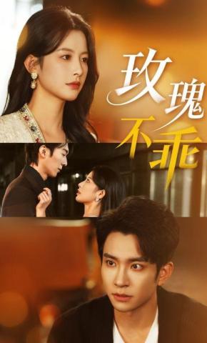 短剧《玫瑰不乖》海报