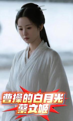 短剧《曹操的白月光蔡文姬》海报