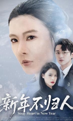 短剧《新年不归人》海报