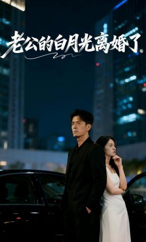 短剧《老公的白月光离婚了》海报