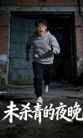 短剧《未杀青的夜晚》海报