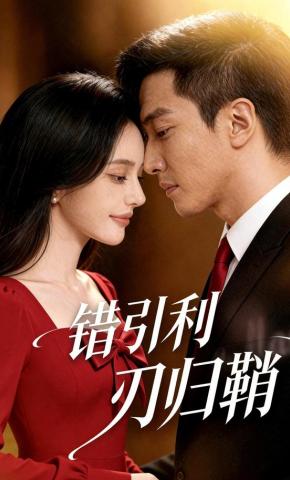 短剧《错引利刃归鞘》海报