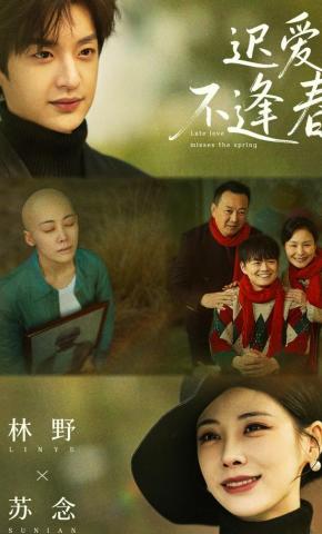 短剧《迟爱不逢春》海报