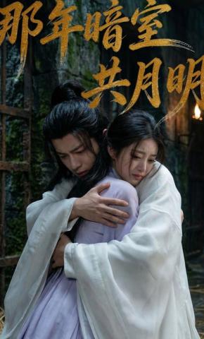 短剧《那年暗室共月明》海报