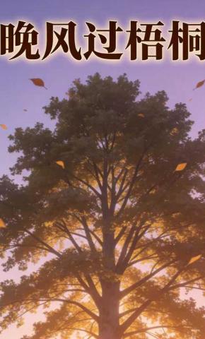 短剧《晚风过梧桐》海报
