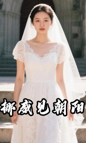 短剧《挪威见朝阳》海报