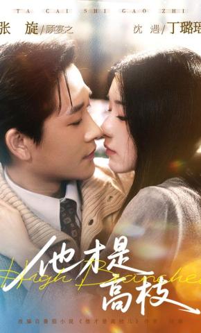 短剧《他才是高枝》海报