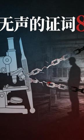 短剧《无声的证词8》海报