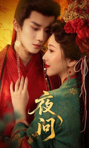 短剧《夜问》海报