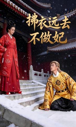 短剧《拂衣远去不做妃》海报