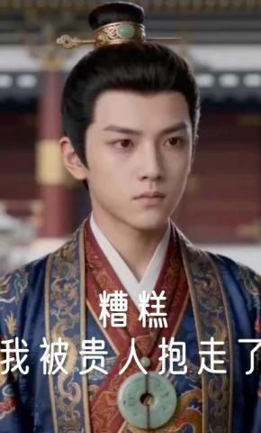 短剧《糟糕我被贵人抱走了》海报